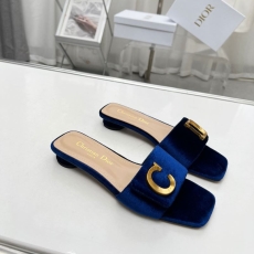 Christian Dior Slippers